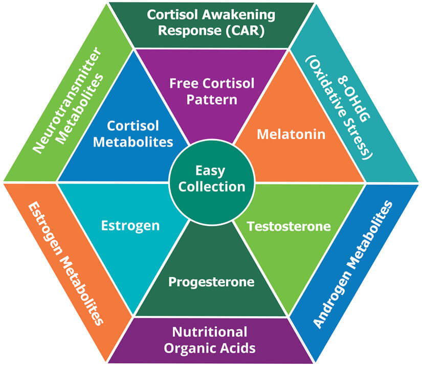 What Is A Dutch Test For Hormones